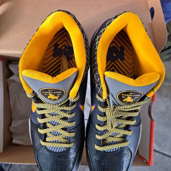 Nike Kobe IV 4 Protro Carpe Diem sz12 DS - Picture 3 of 7